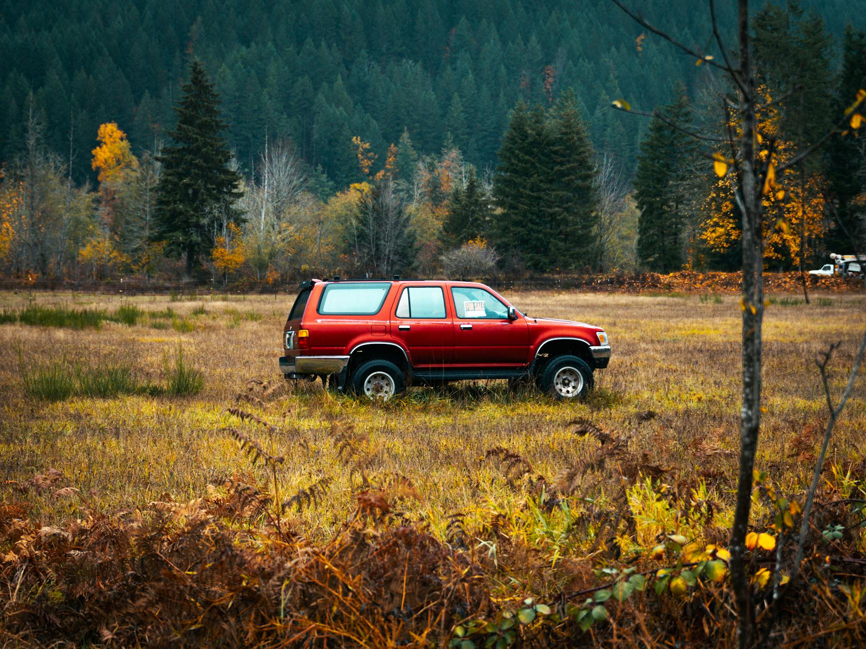 red suv in autumn forest landscape